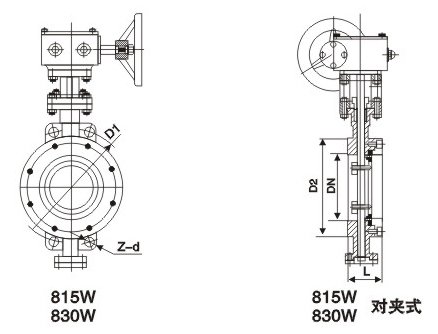 D371W美標對夾式蝶閥