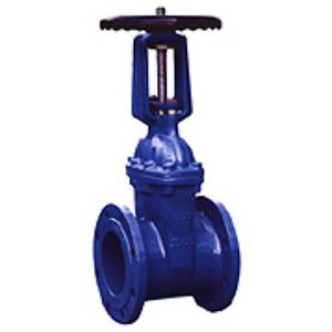 明桿彈性座封閘閥Z41XRRHX